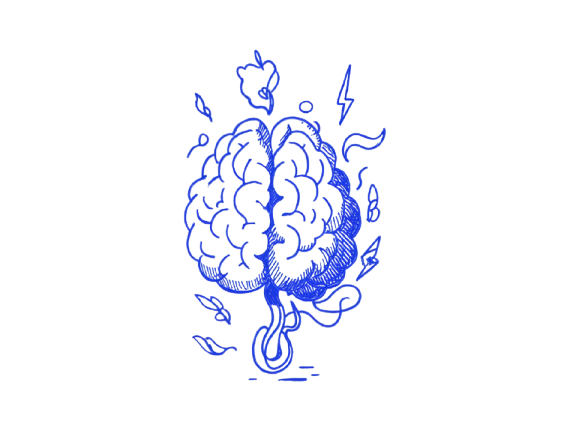 purpose1 image